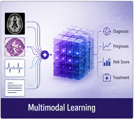 Multimodal learning research stream